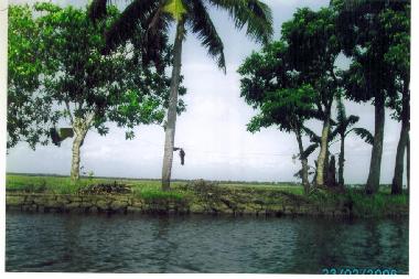 Bateau �/en/au KOTTAYAM (Kerala)ou appartement ou maison de vacances