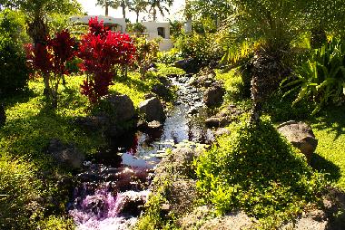 Appartement de vacances �/en/au Kihei (Hawaii)ou appartement ou maison de vacances