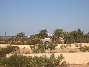 Maison de vacances �/en/au DJERBA (Madanin)ou appartement ou maison de vacances