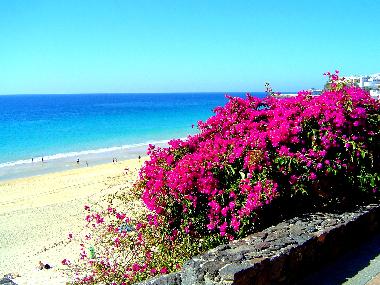 Maison de vacances �/en/au AGDE (H�rault)ou appartement ou maison de vacances