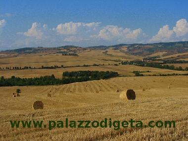 Maison de vacances �/en/au Castiglione d'Orcia (Siena)ou appartement ou maison de vacances