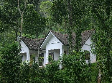 Chambre avec petit d�jeuner �/en/au Thekkady (Kerala)ou appartement ou maison de vacances