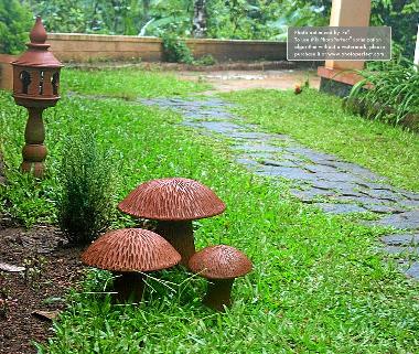 Chambre avec petit d�jeuner �/en/au Thekkady (Kerala)ou appartement ou maison de vacances