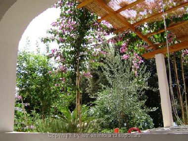 Appartement de vacances �/en/au Mandre (Zadarska)ou appartement ou maison de vacances