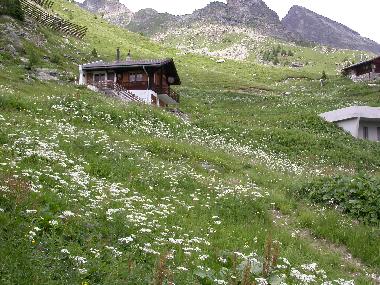 Chalet �/en/au Wiler (L�tschental-L�tschberg)ou appartement ou maison de vacances