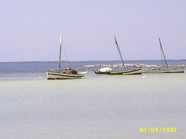 Maison de vacances �/en/au Sidi Youssef (Safaqis)ou appartement ou maison de vacances