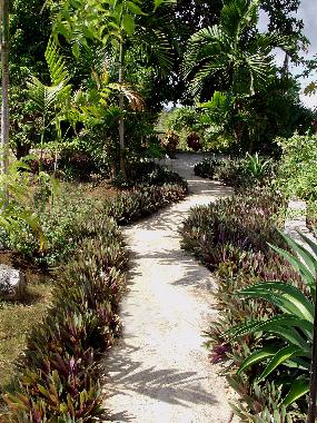Chambre avec petit d�jeuner �/en/au Negril (Westmoreland)ou appartement ou maison de vacances