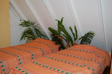 Chalet �/en/au las galeras samana (Samana)ou appartement ou maison de vacances