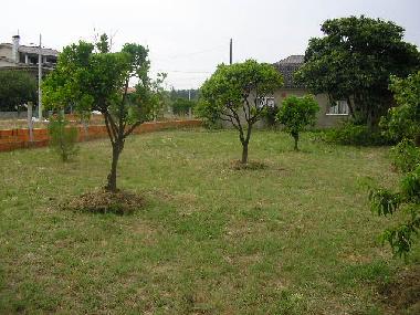 Appartement de vacances �/en/au VAGOS (Baixo Vouga)ou appartement ou maison de vacances