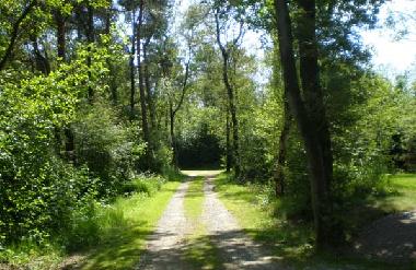 Maison de vacances �/en/au Ruinen (Drenthe)ou appartement ou maison de vacances