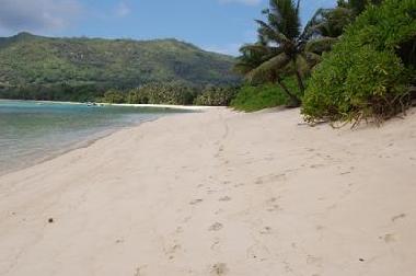 Pr�s d'une plage
