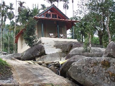 Chambre avec petit d�jeuner �/en/au Muttil peak (Kerala)ou appartement ou maison de vacances