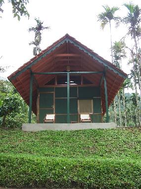 Chambre avec petit d�jeuner �/en/au Muttil peak (Kerala)ou appartement ou maison de vacances