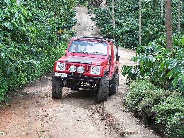 Chambre avec petit d�jeuner �/en/au Muttil peak (Kerala)ou appartement ou maison de vacances