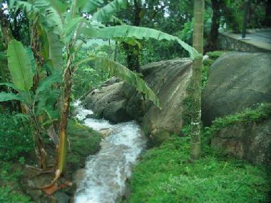 Chambre avec petit d�jeuner �/en/au Muttil peak (Kerala)ou appartement ou maison de vacances