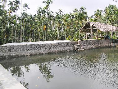 Chambre avec petit d�jeuner �/en/au Muttil peak (Kerala)ou appartement ou maison de vacances