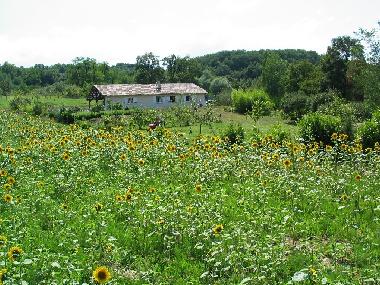 Maison de vacances �/en/au Port-Sainte-Marie (Laggarigue) (Lot-et-Garonne)ou appartement ou maison de vacances