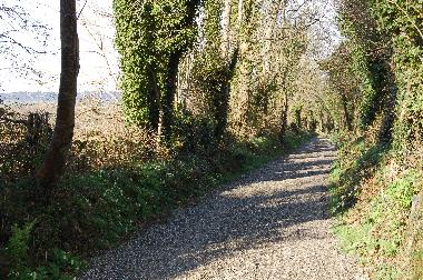 Maison de vacances �/en/au  Gorey (Wexford)ou appartement ou maison de vacances