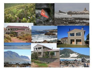 Maison de vacances �/en/au Bettys Bay (Western Cape)ou appartement ou maison de vacances