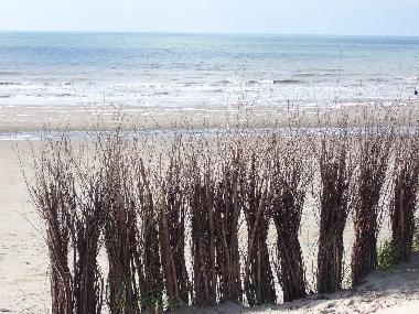 Appartement de vacances �/en/au Bredene (Flandre)ou appartement ou maison de vacances