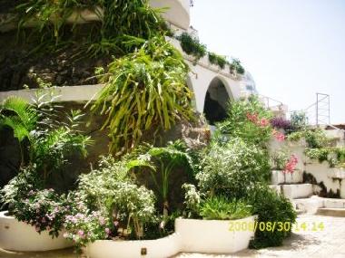 Appartement de vacances �/en/au bei Puerto de la Cruz (Teneriffa)ou appartement ou maison de vacances