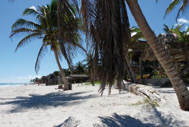 Appartement de vacances �/en/au TULUM ,MACARIO GOMEZ ,MEXICO (Quintana Roo)ou appartement ou maison de vacances