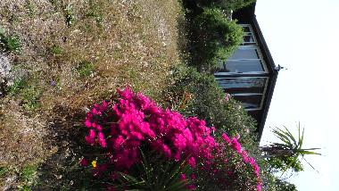 Maison de vacances �/en/au Santa Teresa di Gallura (Sassari)ou appartement ou maison de vacances