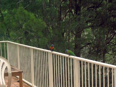 Maison de vacances �/en/au Smiths Lake (New South Wales)ou appartement ou maison de vacances
