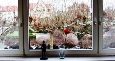 Appartement de vacances �/en/au Speyer (Pfalz)ou appartement ou maison de vacances