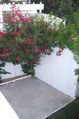 Maison de vacances �/en/au HAMMAMET (Nabul)ou appartement ou maison de vacances