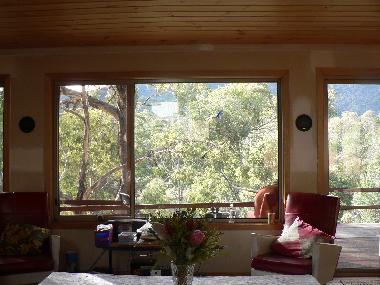 Maison de vacances �/en/au Suggan Buggan (Victoria)ou appartement ou maison de vacances