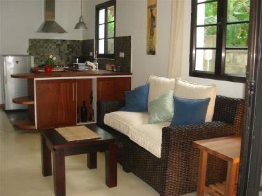 Salon et cuisine
