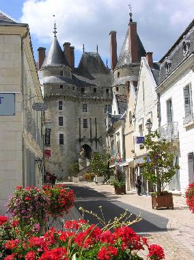 Maison de vacances �/en/au Langeais (Centre)ou appartement ou maison de vacances