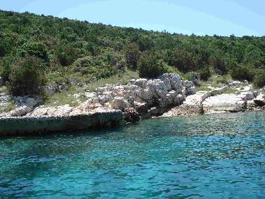 Appartement de vacances �/en/au Vini�će (Splitsko-Dalmatinska)ou appartement ou maison de vacances