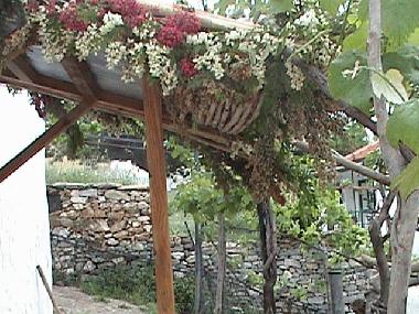 Maison de vacances �/en/au Rahoni (Kavala)ou appartement ou maison de vacances