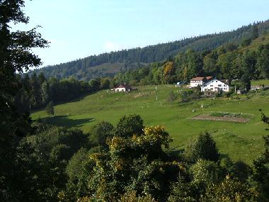 Chalet �/en/au Saulxures-sur-Moselotte (Vosges)ou appartement ou maison de vacances