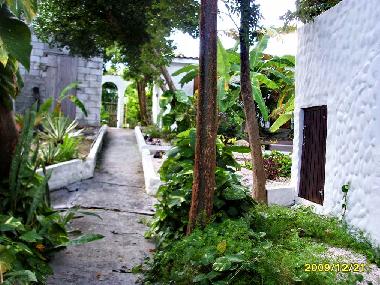 Appartement de vacances �/en/au Cupecoy, Sint Maarten (Sint Maarten)ou appartement ou maison de vacances