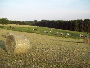 Appartement de vacances �/en/au Wermelskirchen (Bergisches Land)ou appartement ou maison de vacances