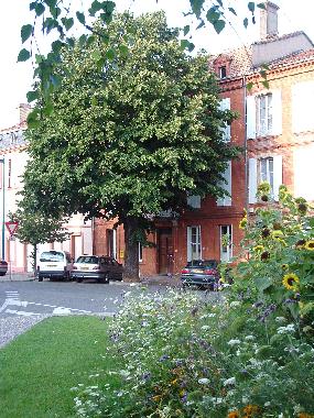 Appartement de vacances �/en/au Moissac (Tarn-et-Garonne)ou appartement ou maison de vacances