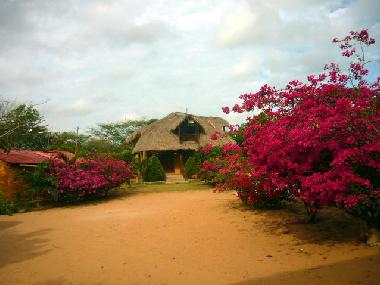 Chalet �/en/au RIOHACHA (La Guajira)ou appartement ou maison de vacances