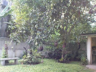 Maison de vacances �/en/au Ambalangoda (Galle)ou appartement ou maison de vacances