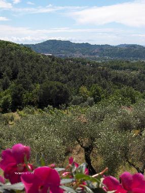Maison de vacances �/en/au Caprigliola (Massa-Carrara)ou appartement ou maison de vacances