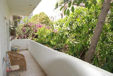 Appartement de vacances �/en/au tel aviv (Tel Aviv)ou appartement ou maison de vacances
