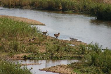 Maison de vacances �/en/au Marloth Park, Mpumalanga. (Mpumalanga)ou appartement ou maison de vacances