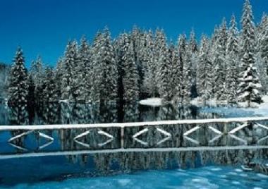 Appartement de vacances �/en/au Tarvisio (Udine)ou appartement ou maison de vacances