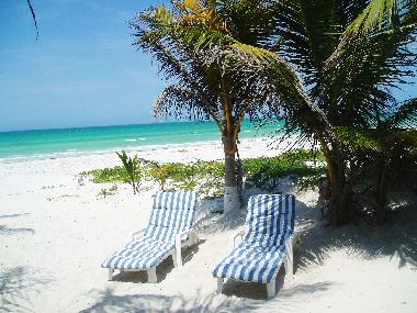 Appartement de vacances �/en/au El Cuyo (Yucatan)ou appartement ou maison de vacances