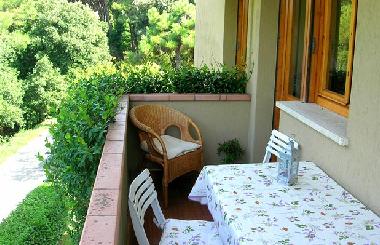 Appartement de vacances �/en/au Viareggio (Lucca)ou appartement ou maison de vacances