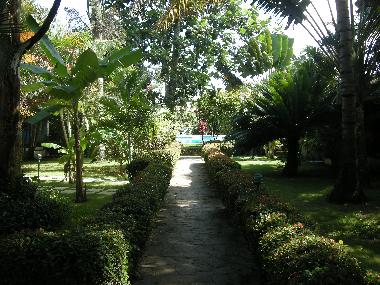 Chalet �/en/au domenican (Samana)ou appartement ou maison de vacances