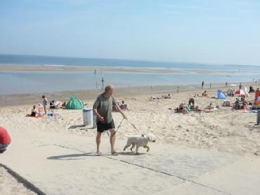 Chalet �/en/au Renesse (Zeeland)ou appartement ou maison de vacances