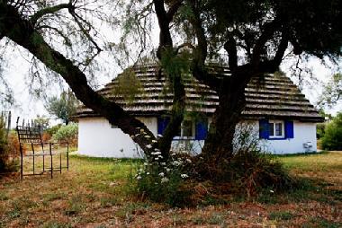 Maison de vacances �/en/au Les Saintes Maries de la Mer (Bouches-du-Rh�ne)ou appartement ou maison de vacances